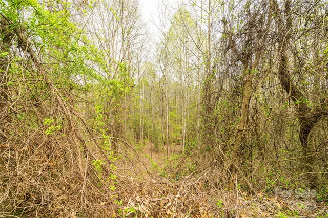 $60,000 | 0 Crown Terrace, Hickory, NC 28601