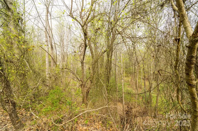 $60,000 | 0 Crown Terrace, Hickory, NC 28601