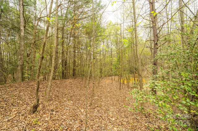 $60,000 | 0 Crown Terrace, Hickory, NC 28601