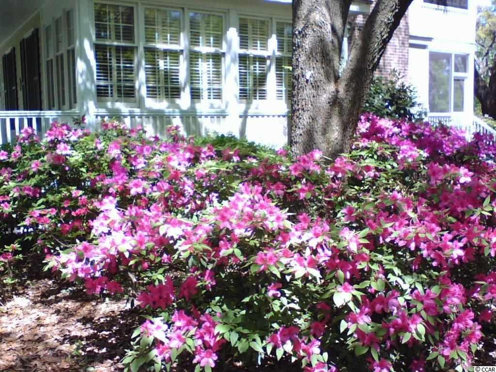 3058 Court Street, Unit 58 Murrells Inlet, SC 29576 - Photo 23 of 23 Gallery Image 23