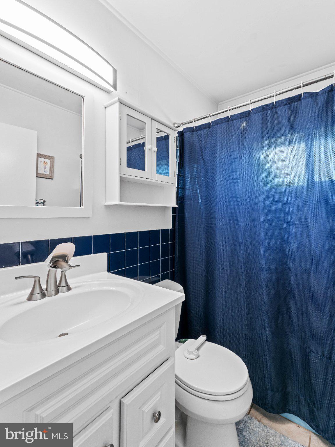 21 Viewpoint Lane Levittown, PA 19054 - Photo 15 of 26 a bathroom with a sink a toilet and shower
