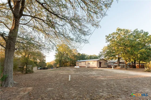 a view of backyard and tree