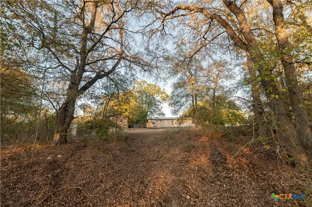 a view of a house with backyard and trees