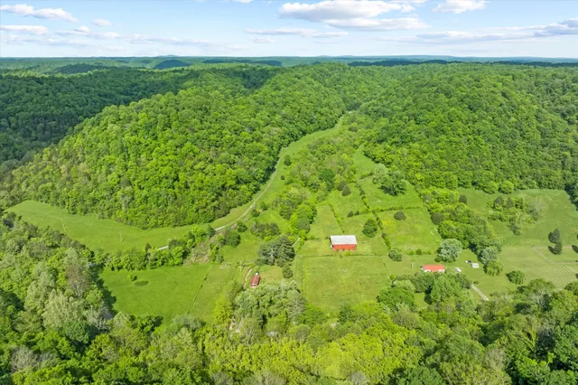 a view of a big yard with lots of green space