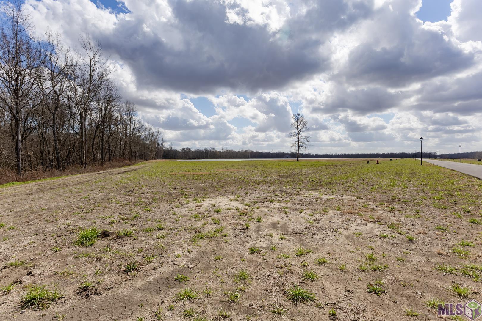 5943 Mill Town Road Brusly, LA 70719 - Photo 11 of 12