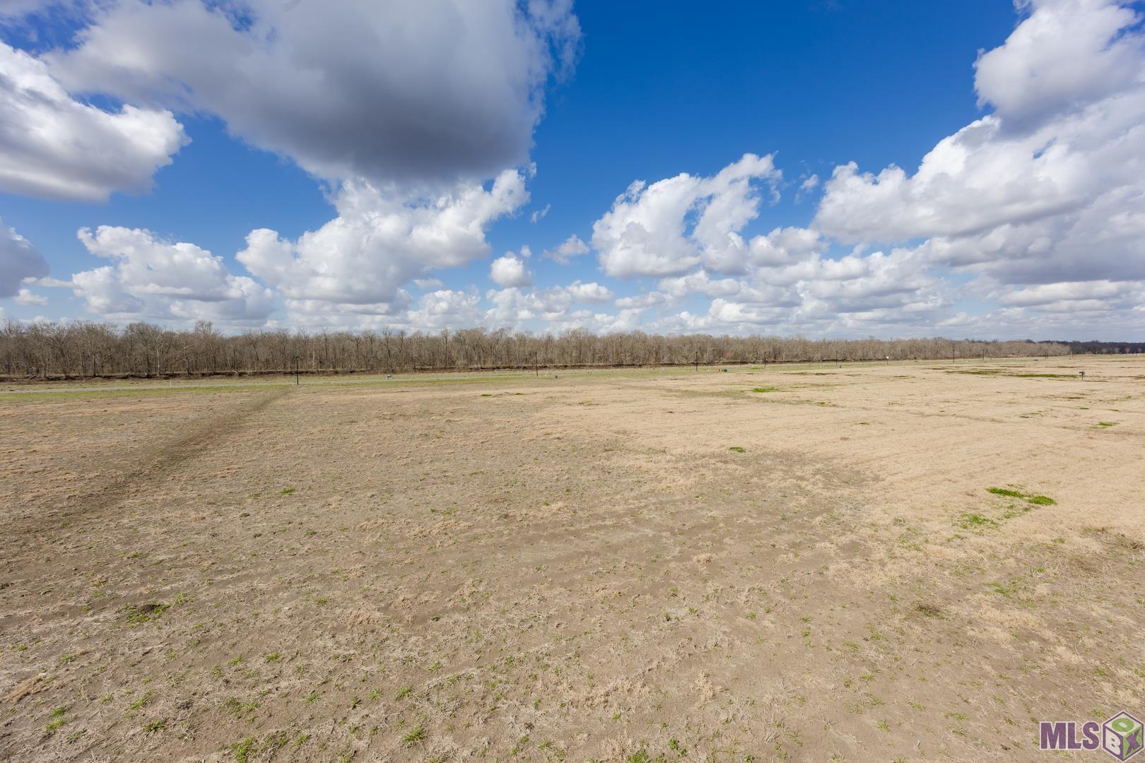 5943 Mill Town Road Brusly, LA 70719 - Photo 8 of 12