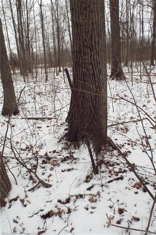 Eight West Eight Mile Road South Lyon, MI 48178 - Photo 37 of 58
