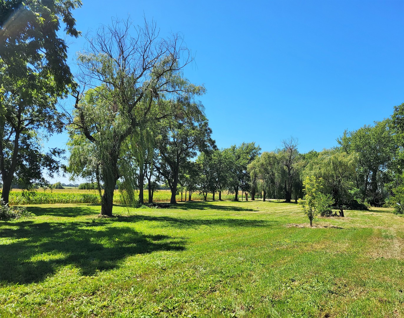 1426 Paw Paw Road Lee, IL 60530 - Photo 2 of 24 a view of grassy field with benches and trees all around