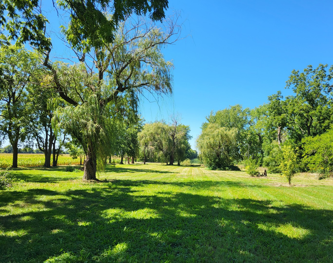 1426 Paw Paw Road Lee, IL 60530 - Photo 3 of 24 a view of a golf course