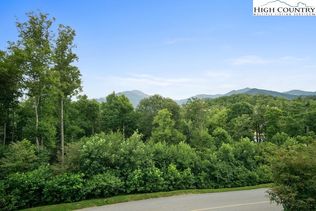 121 Red Tail Summit, Unit CC2 Boone, NC 28607 - Photo 18 of 18 Gallery Image 18