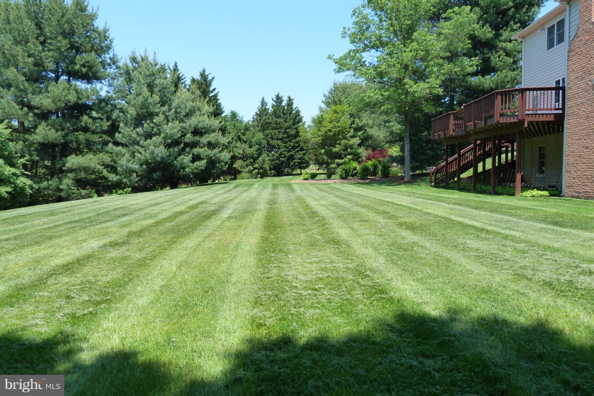 1716 Raleigh Hill Road Vienna, VA 22182 - Photo 2 of 30 View from Side of Backyard/Flat & Private
