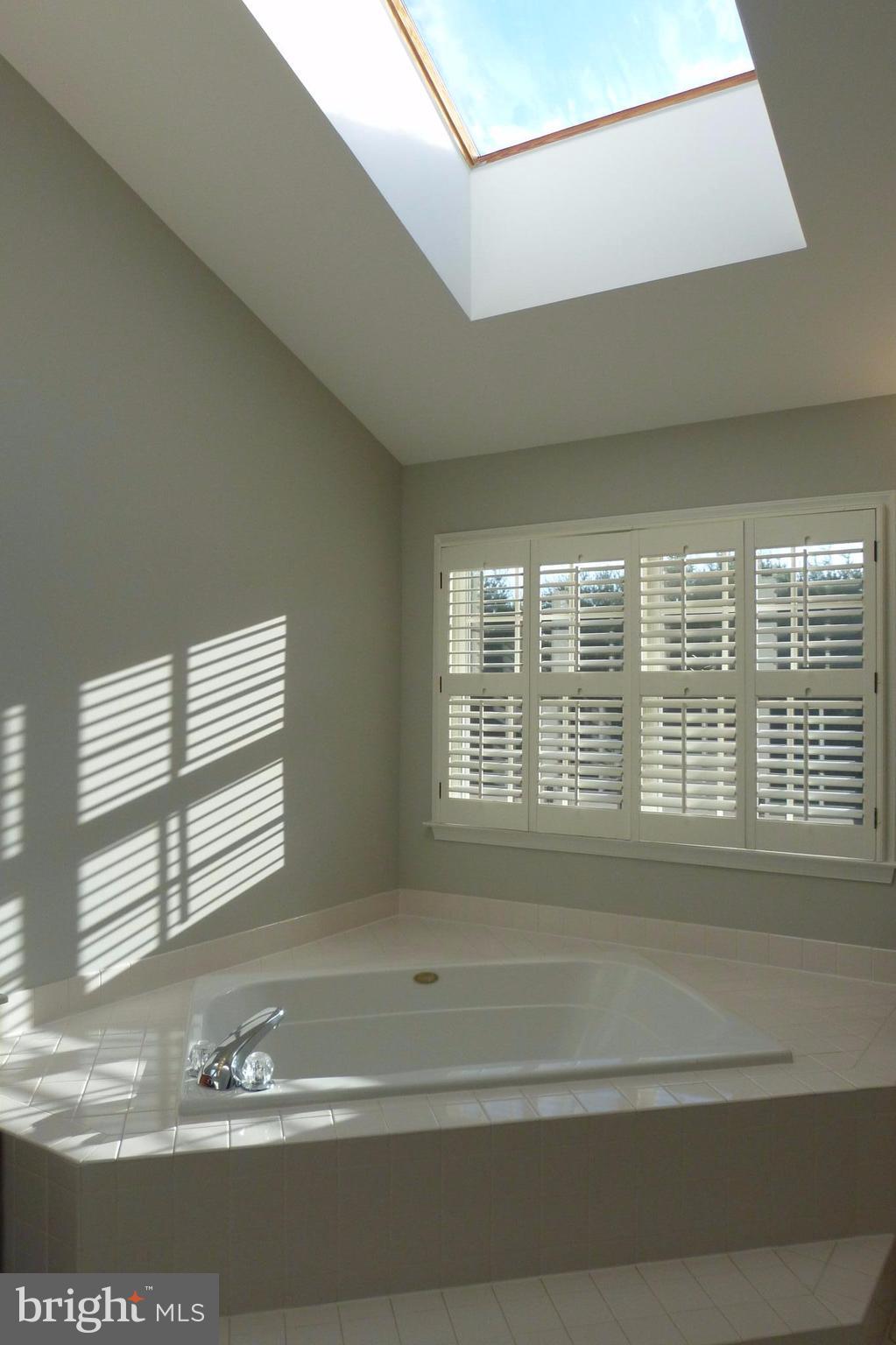 1716 Raleigh Hill Road Vienna, VA 22182 - Photo 19 of 30 Skylight, Soaking Tub & Gorgeous Views