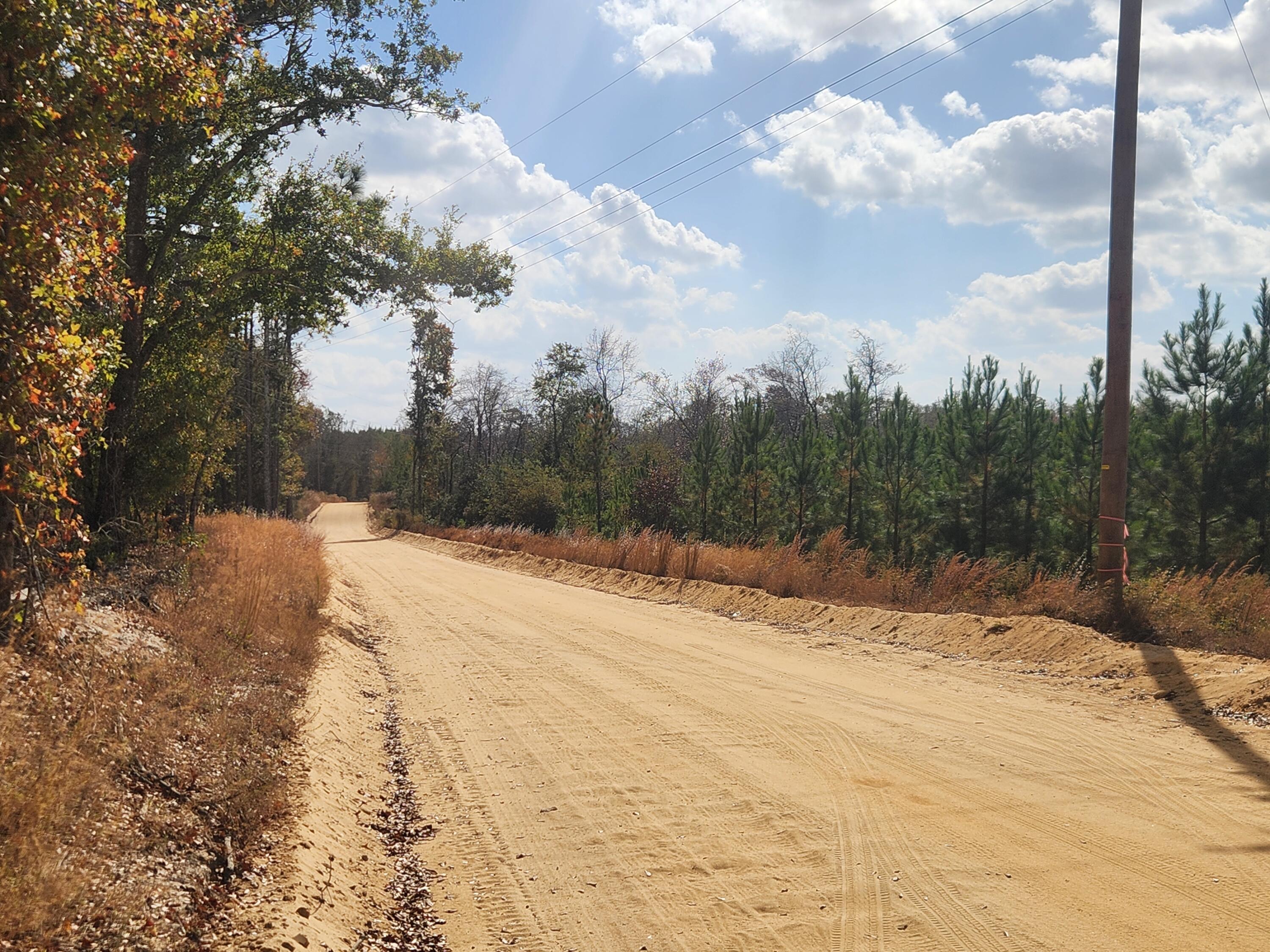 8 A Kelly Day Road, Unit BCE 8A Leesville, SC 29070 - Photo 8 of 9 20241031_134018