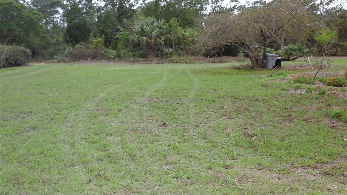 a view of a field of grass and trees