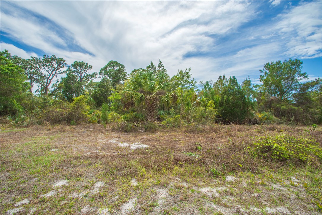 8065 126th Street Sebastian, FL 32958 - Photo 20 of 25 a backyard of a house with lots of green space