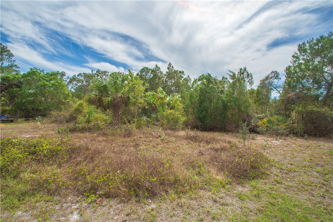 8065 126th Street Sebastian, FL 32958 - Photo 21 of 25 a backyard of a house with lots of green space