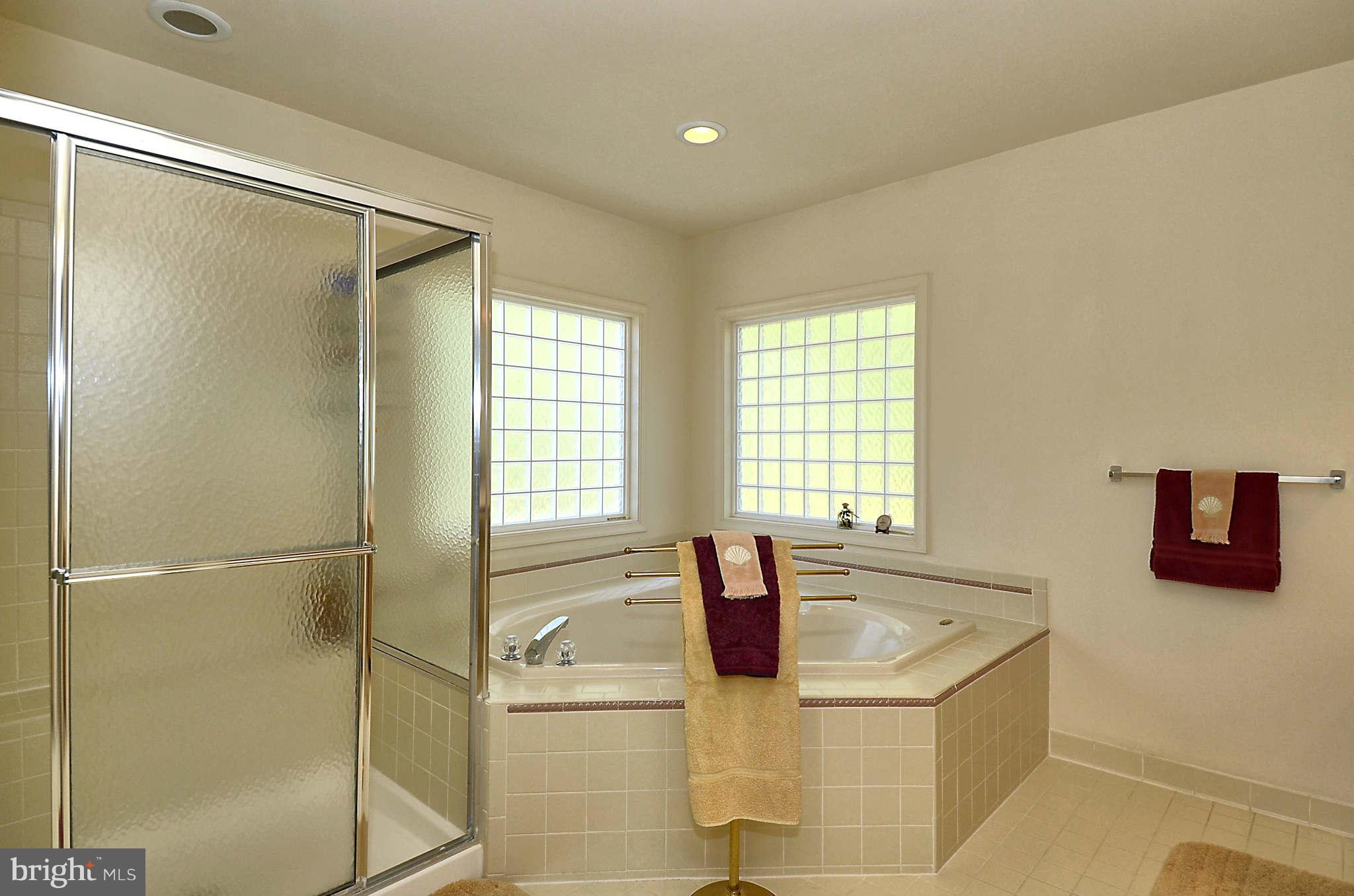 13801 Rockingham Road Germantown, MD 20874 - Photo 22 of 29 Bath (Master)