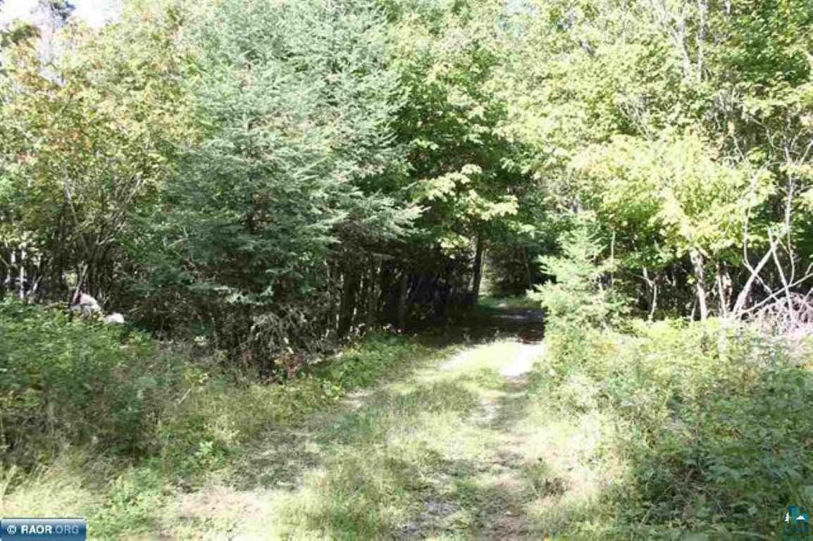 7491 Velkommen Road Cook, MN 55723 - Photo 13 of 15