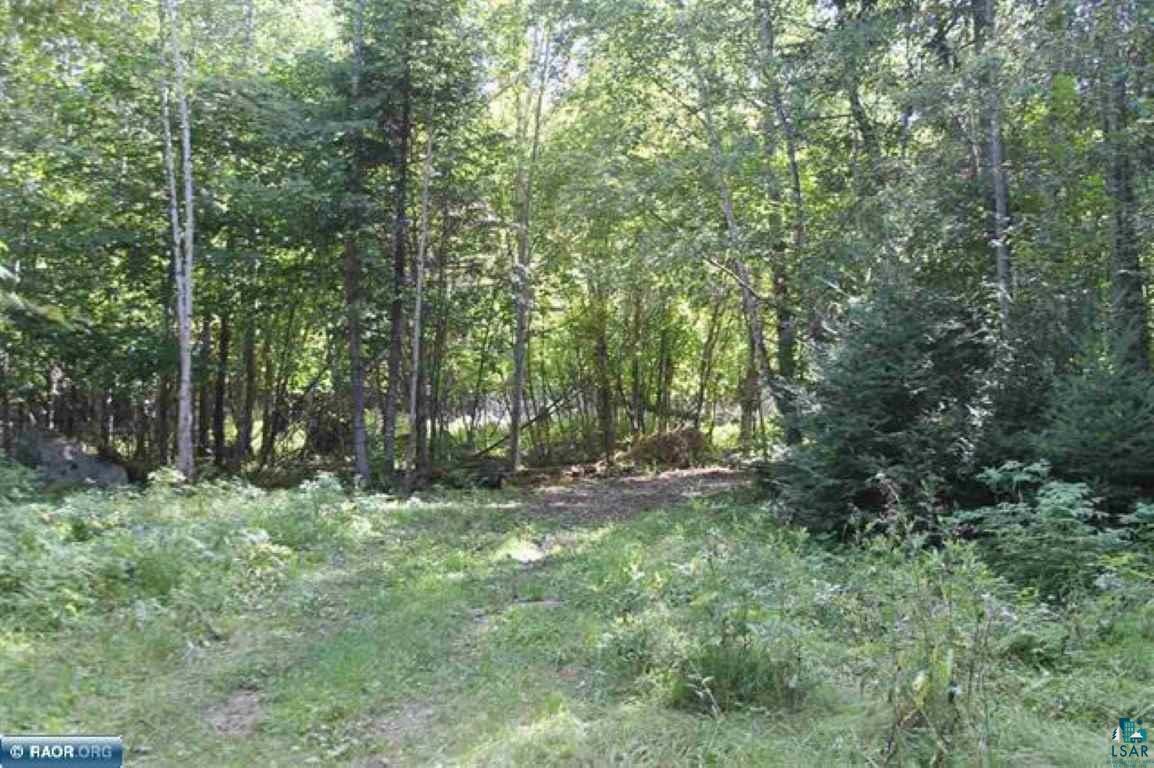 7491 Velkommen Road Cook, MN 55723 - Photo 14 of 15