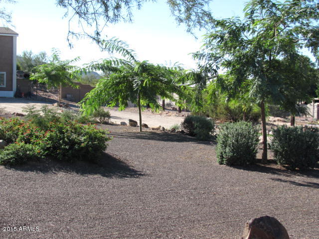 1829 West Irvine Road Phoenix, AZ 85086 - Photo 4 of 33 a view of a street with potted plants and large trees