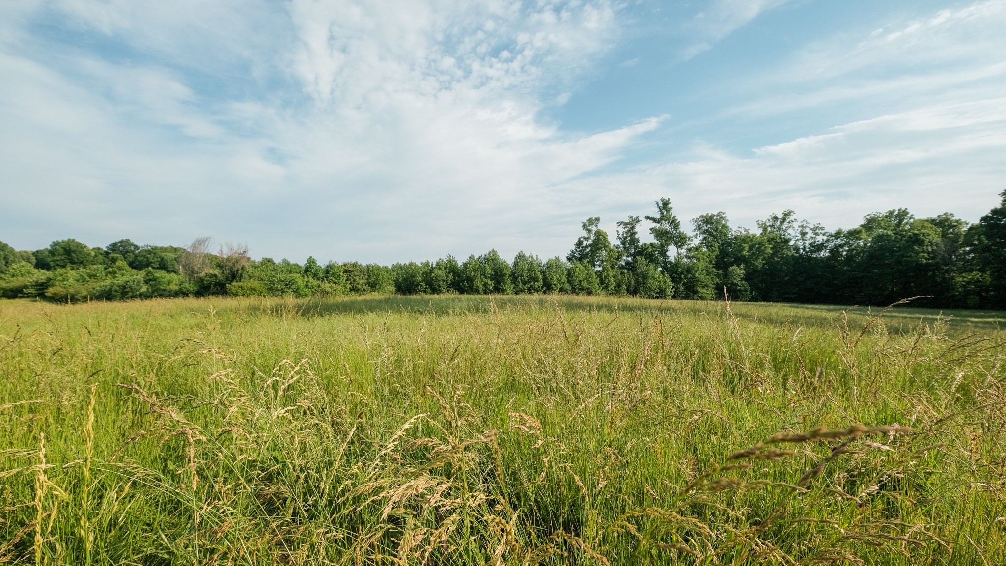 0 Mcadams Road Greenfield, TN 38230 - Photo 20 of 25
