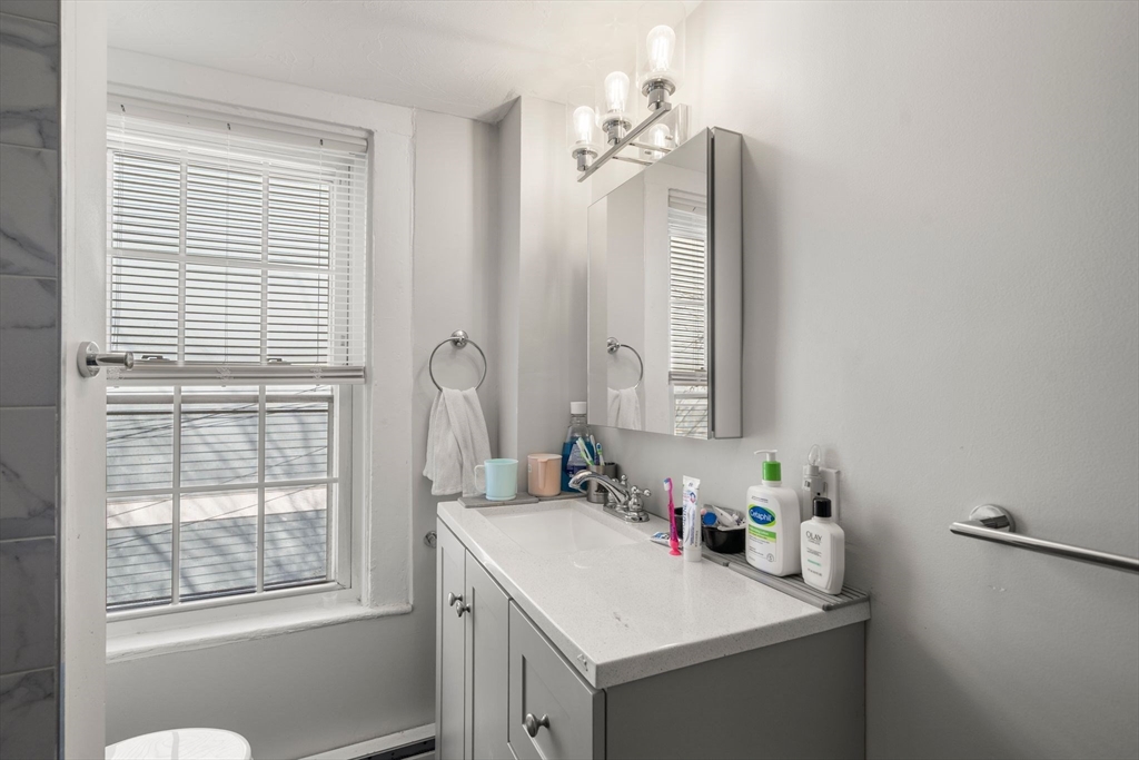 110 D Street Boston, MA 02127 - Photo 16 of 33 a bathroom with a sink vanity and a mirror