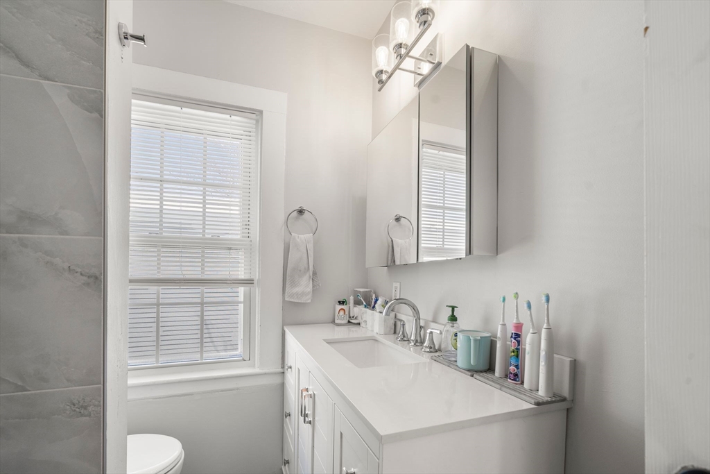 110 D Street Boston, MA 02127 - Photo 17 of 33 a bathroom with a sink vanity and a mirror