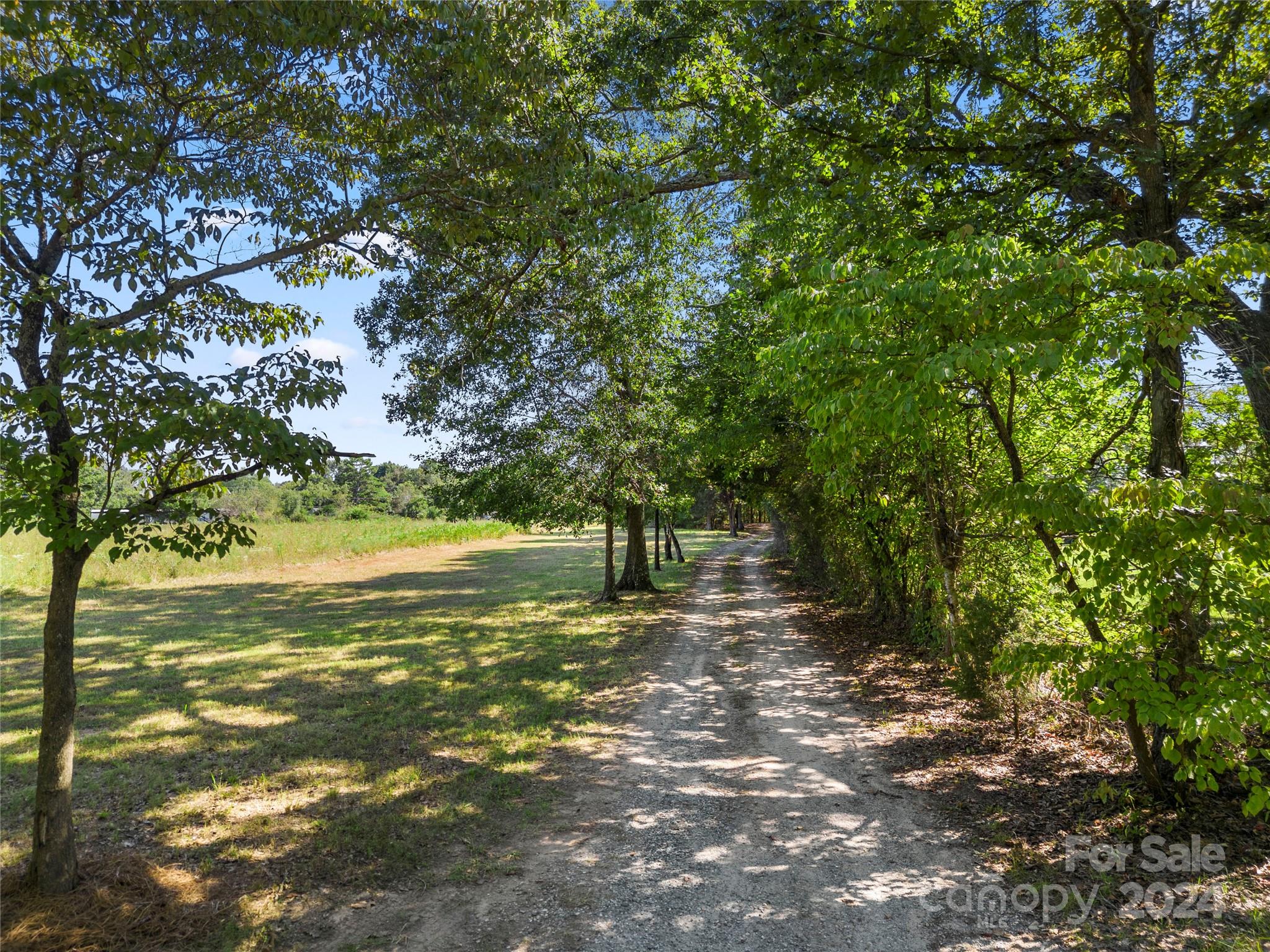 914 Margrace Road Kings Mountain, NC 28086 - Photo 35 of 36 a pathway of a yard with a tree