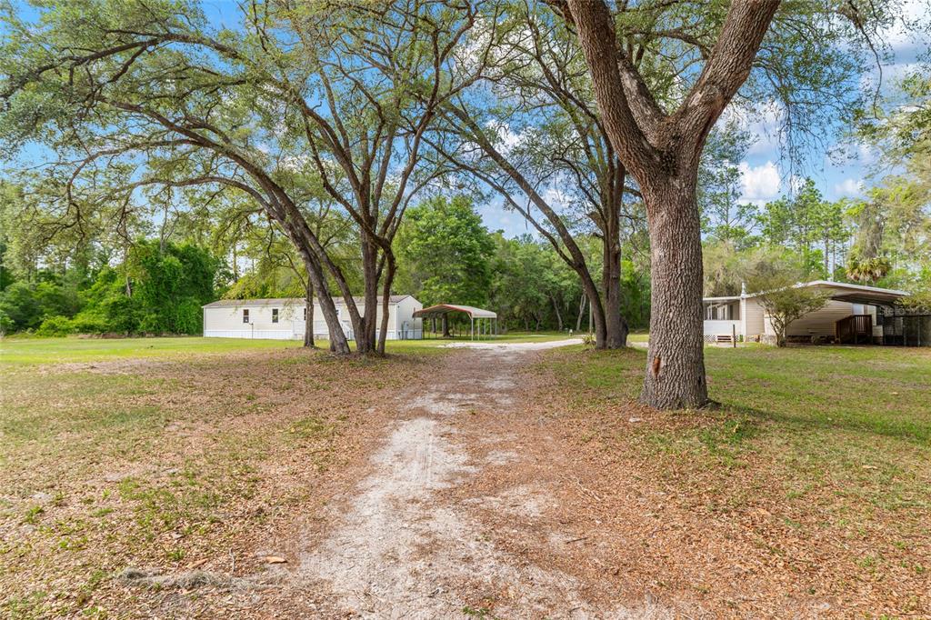 8535 Southwest 155th Street Dunnellon, FL 34432 - Photo 1 of 35 a view of a yard with tree s