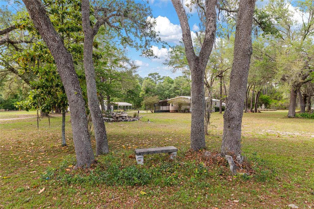 8535 Southwest 155th Street Dunnellon, FL 34432 - Photo 28 of 35 a view of a yard with trees