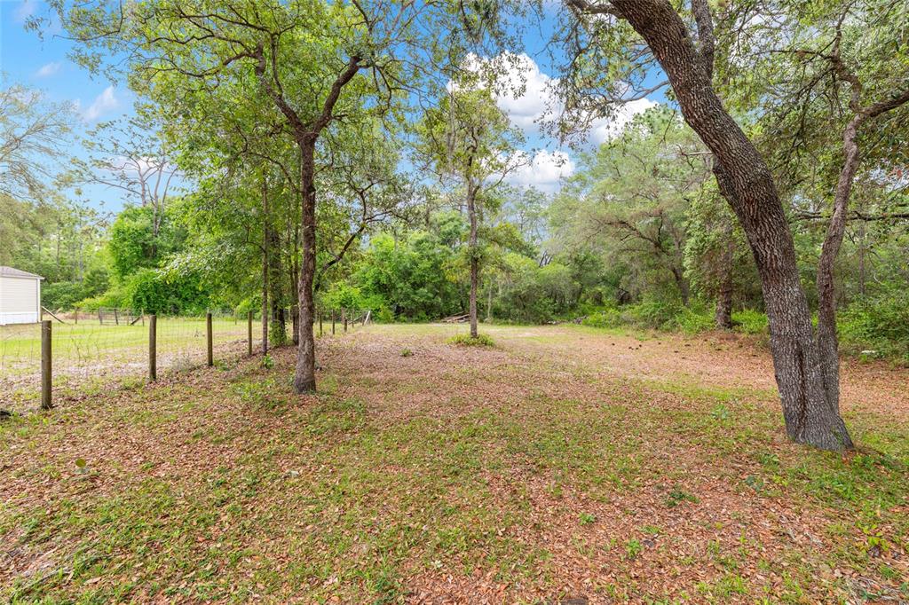 8535 Southwest 155th Street Dunnellon, FL 34432 - Photo 29 of 35 a view of backyard with tree