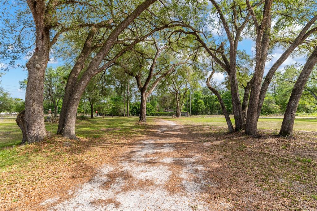 8535 Southwest 155th Street Dunnellon, FL 34432 - Photo 33 of 35 a view of a yard with large trees
