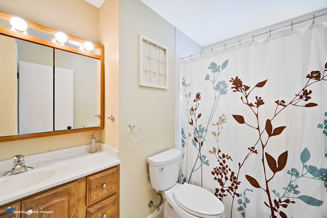 2007 Driving Park Road Wheaton, IL 60187 - Photo 20 of 29 a bathroom with a sink and a mirror