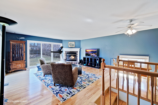 2007 Driving Park Road Wheaton, IL 60187 - Photo 26 of 29 a living room with furniture a fireplace and a flat screen tv