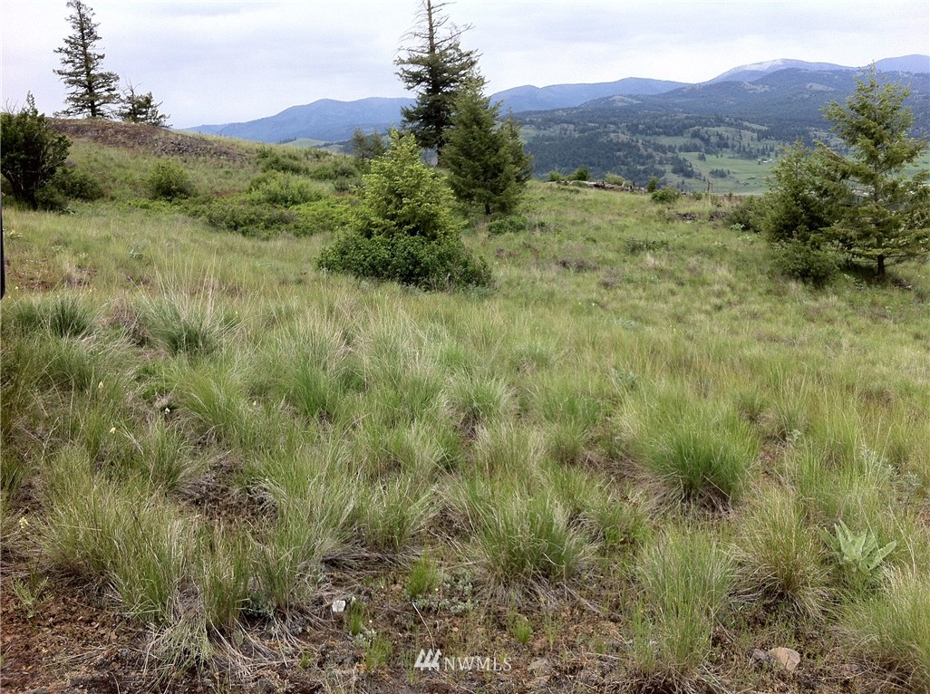 9 Barrett Crk Road Republic, WA 99166 - Photo 11 of 11 Gallery Image 11