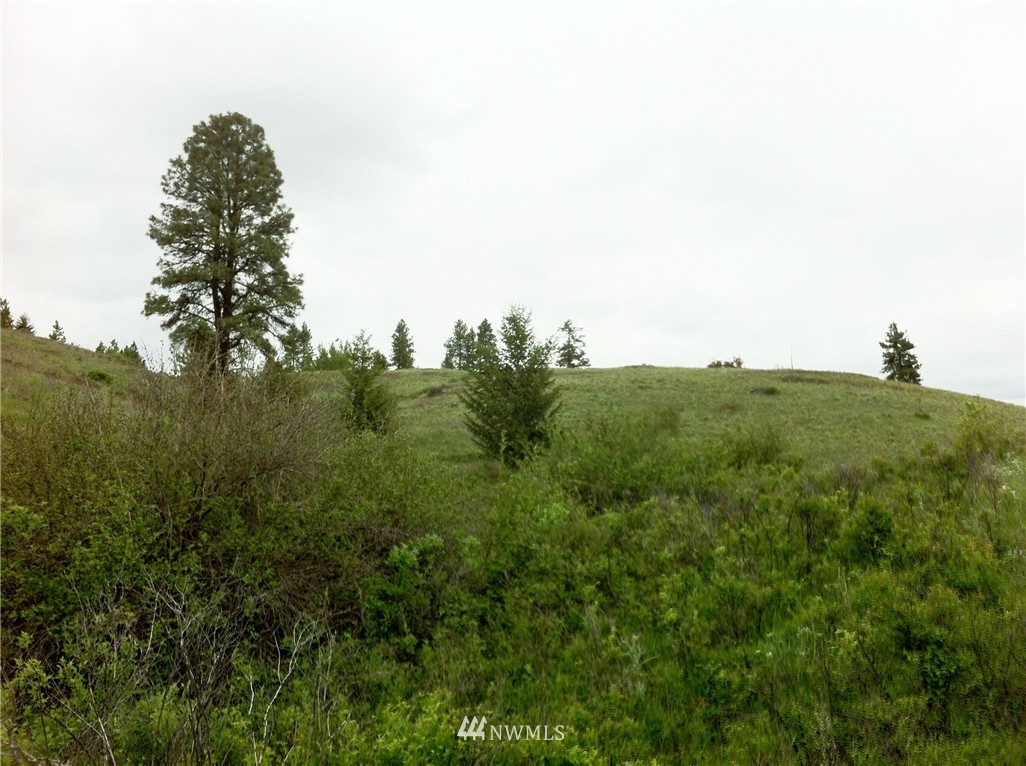 9 Barrett Crk Road Republic, WA 99166 - Photo 10 of 11 Gallery Image 10