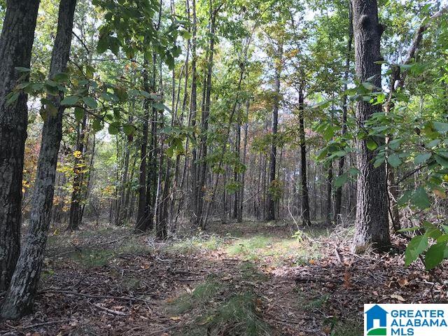 Enclave Drive, Unit 34 Springville, AL 35146 - Photo 5 of 12