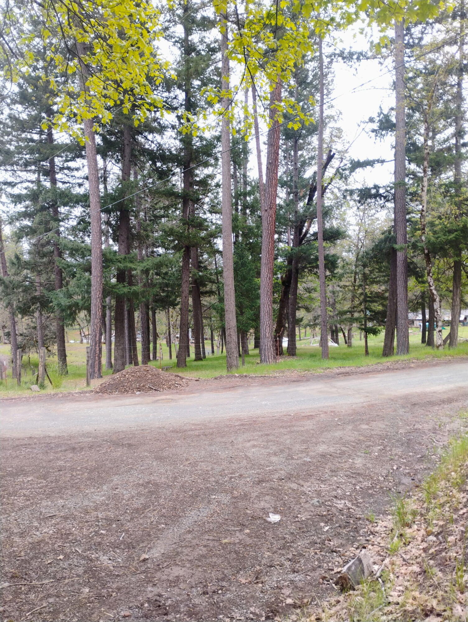 1411 Mc Alexander Road Hayfork, CA 96041 - Photo 30 of 38 Corner lot
