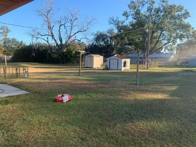a view of a backyard with large tree