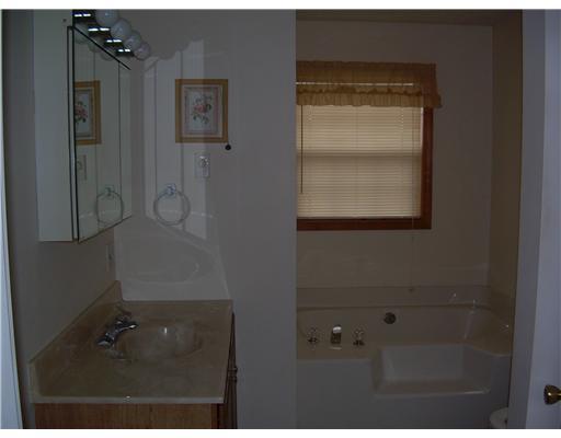 135 Shields Road Forestville, PA 16035 - Photo 17 of 18 Master Bath/Spa. Garden Tub ~ Separate Shower