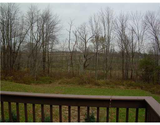 135 Shields Road Forestville, PA 16035 - Photo 4 of 18 Patio/Deck. Gorgeous View off of Deck.....