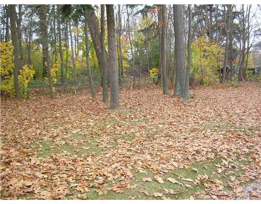 135 Shields Road Forestville, PA 16035 - Photo 5 of 18 Land.