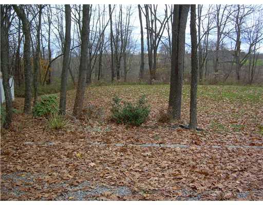 135 Shields Road Forestville, PA 16035 - Photo 8 of 18 Yard/Garden.