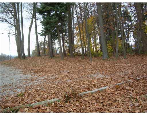 135 Shields Road Forestville, PA 16035 - Photo 9 of 18 Land/Lot.