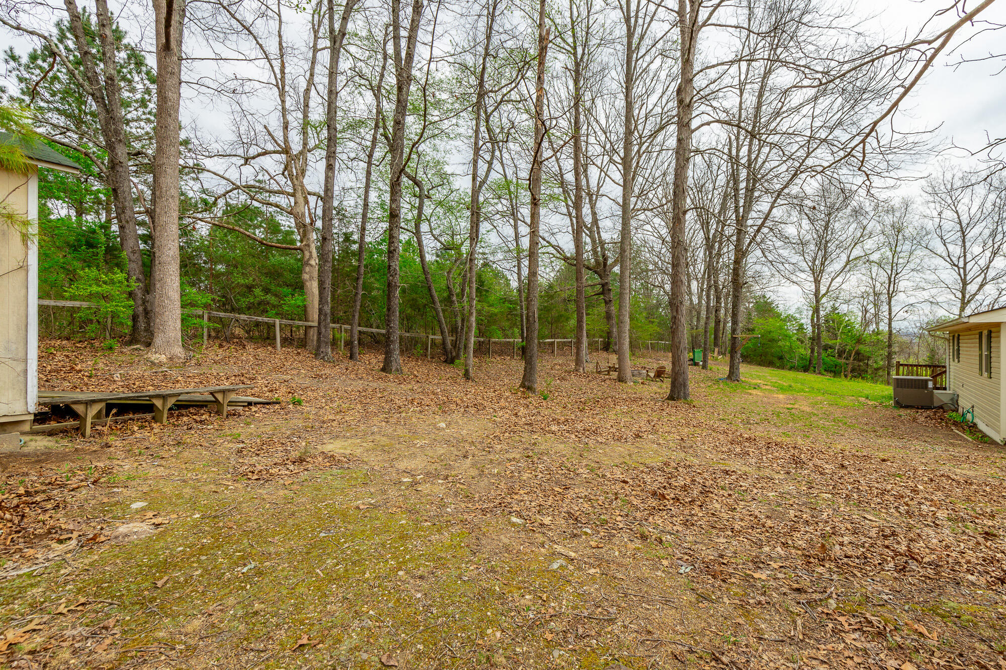 594 Rakestraw Road McDonald, TN 37353 - Photo 53 of 67 Yard