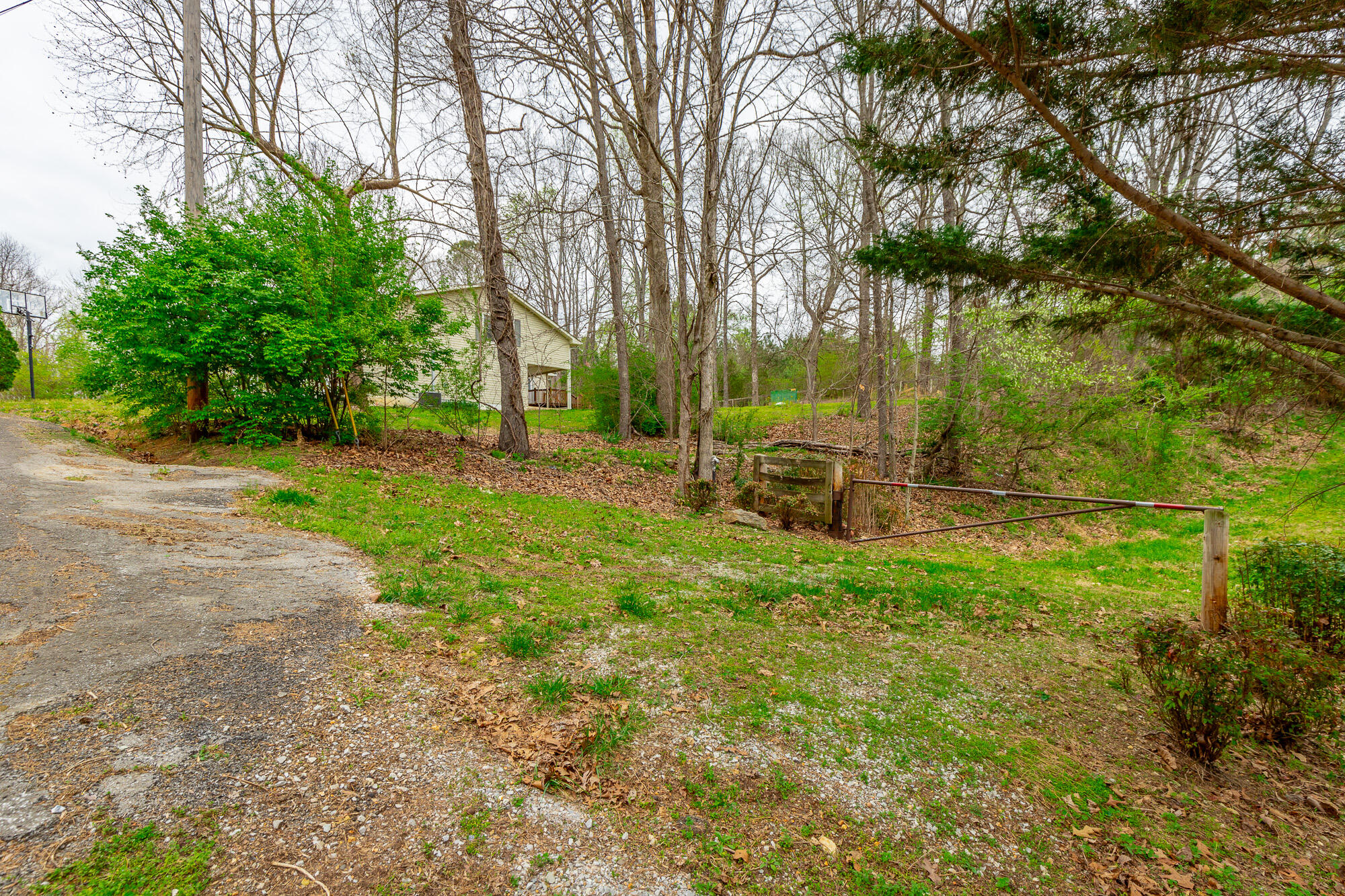 594 Rakestraw Road McDonald, TN 37353 - Photo 61 of 67 yard
