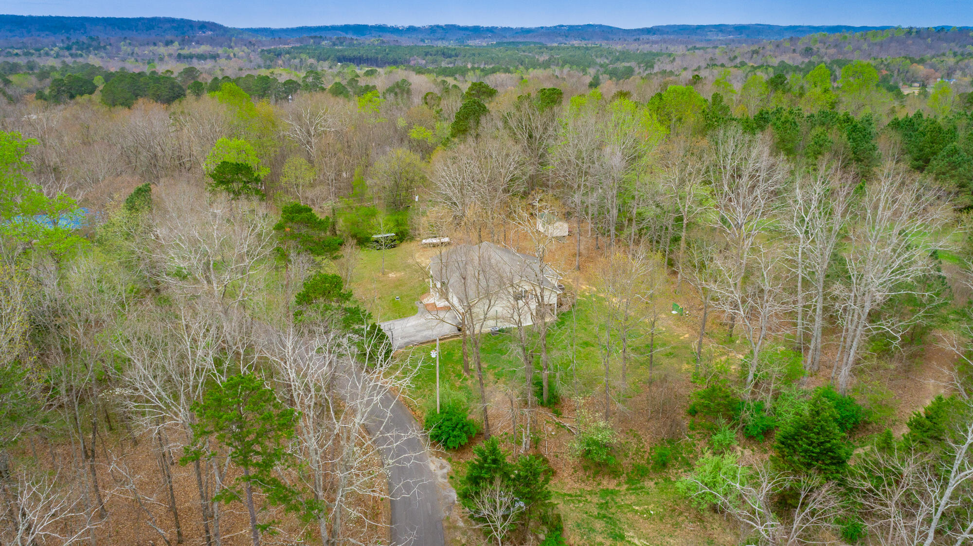 594 Rakestraw Road McDonald, TN 37353 - Photo 66 of 67 Wooded area