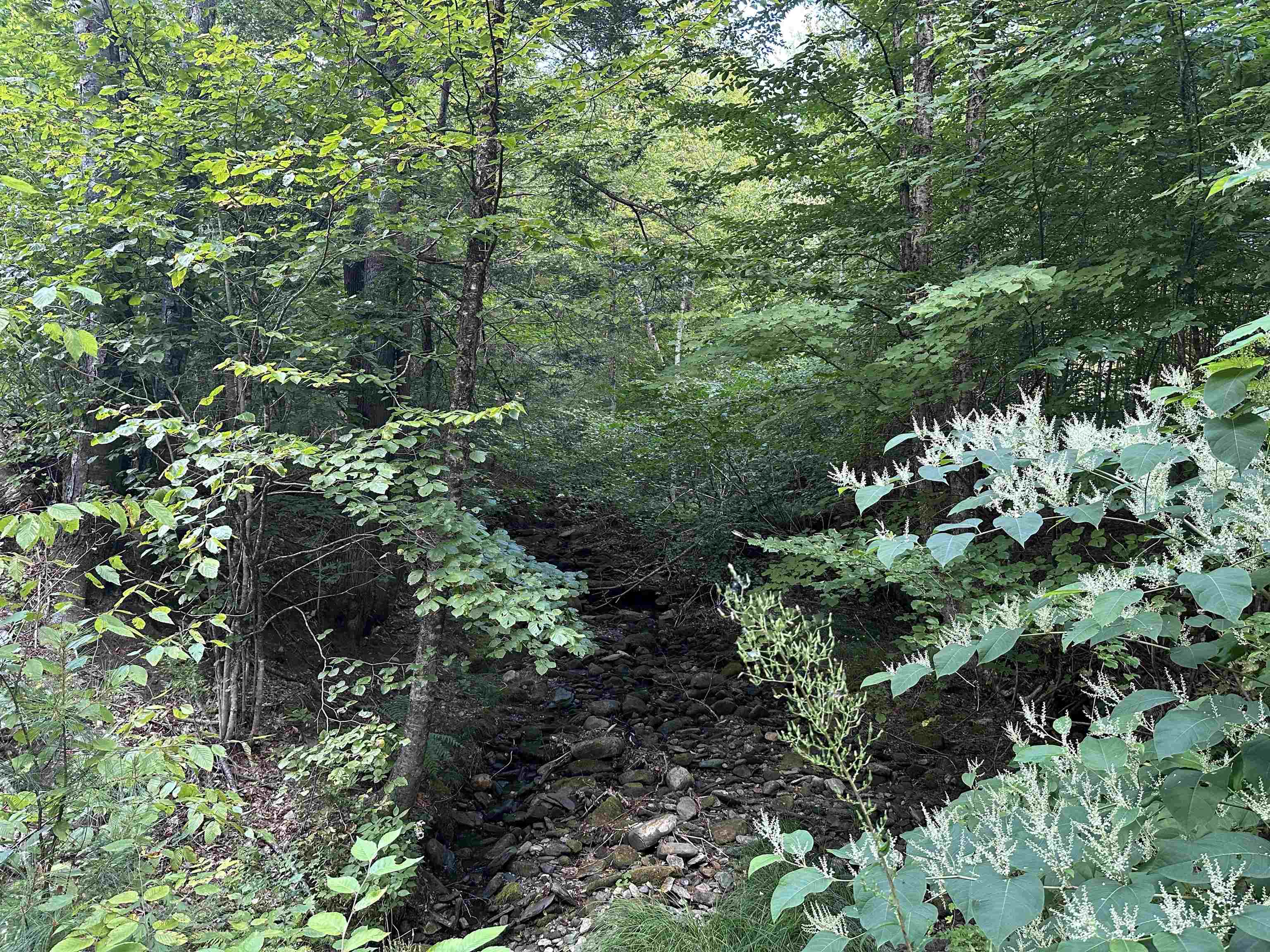 81 Parish Hill Road Newfane, VT 05351 - Photo 44 of 59
