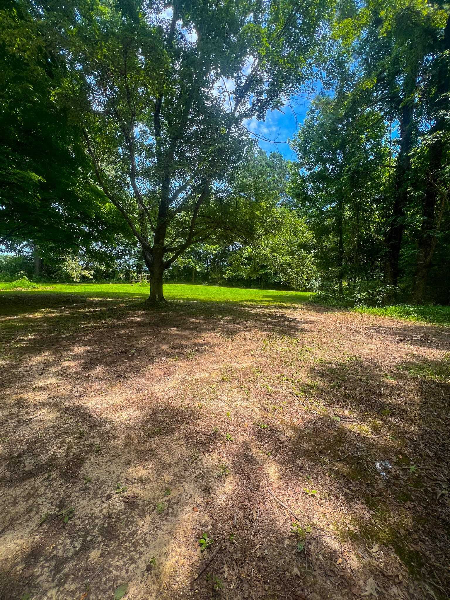 470 Rich Road Somerville, TN 38068 - Photo 11 of 40 Expansive land parcel featuring mature trees, partial lawn, and natural surroundings