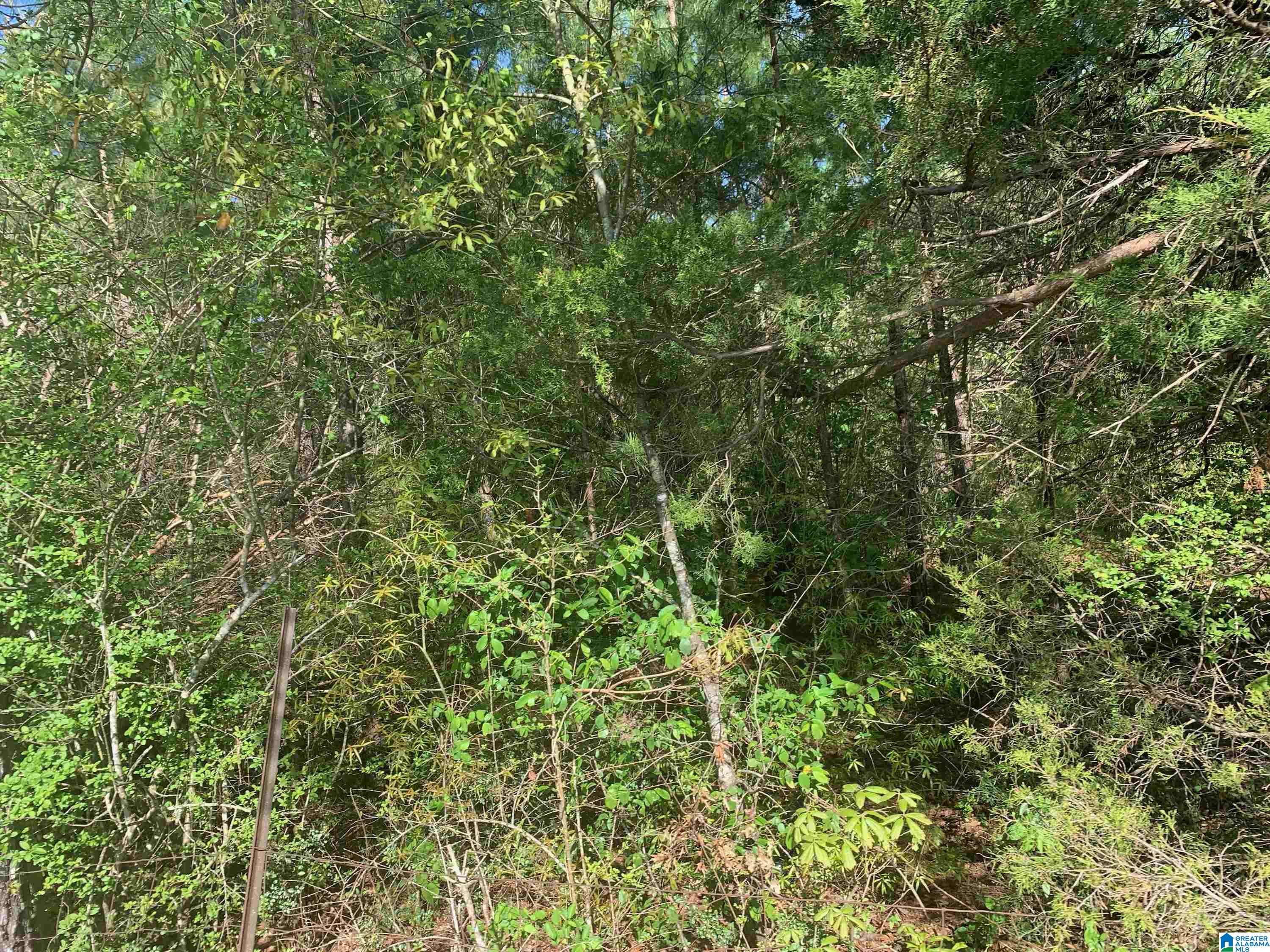 1835 Dry Valley Road, Unit 1 Lincoln, AL 35096 - Photo 7 of 14